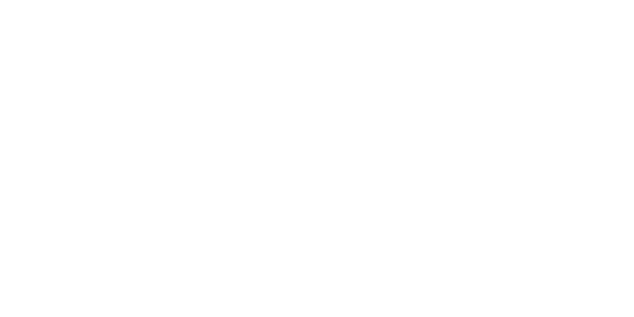 NORTH FACE