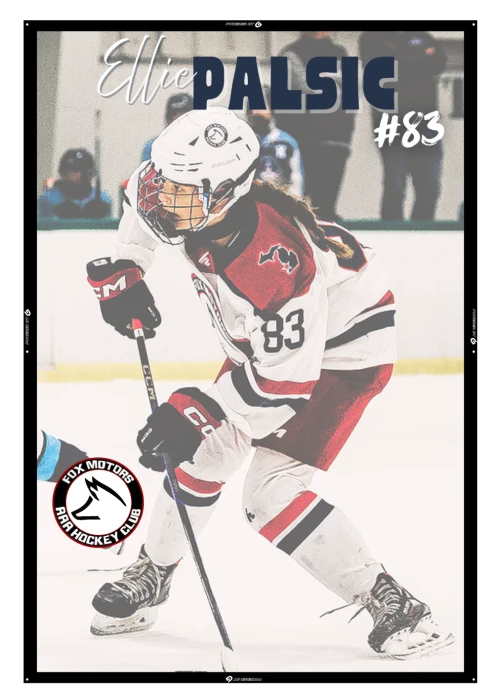 HOCKEY SAMPLE